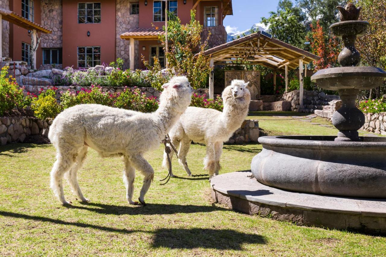 Villa Apu Chicon Urubamba Kültér fotó