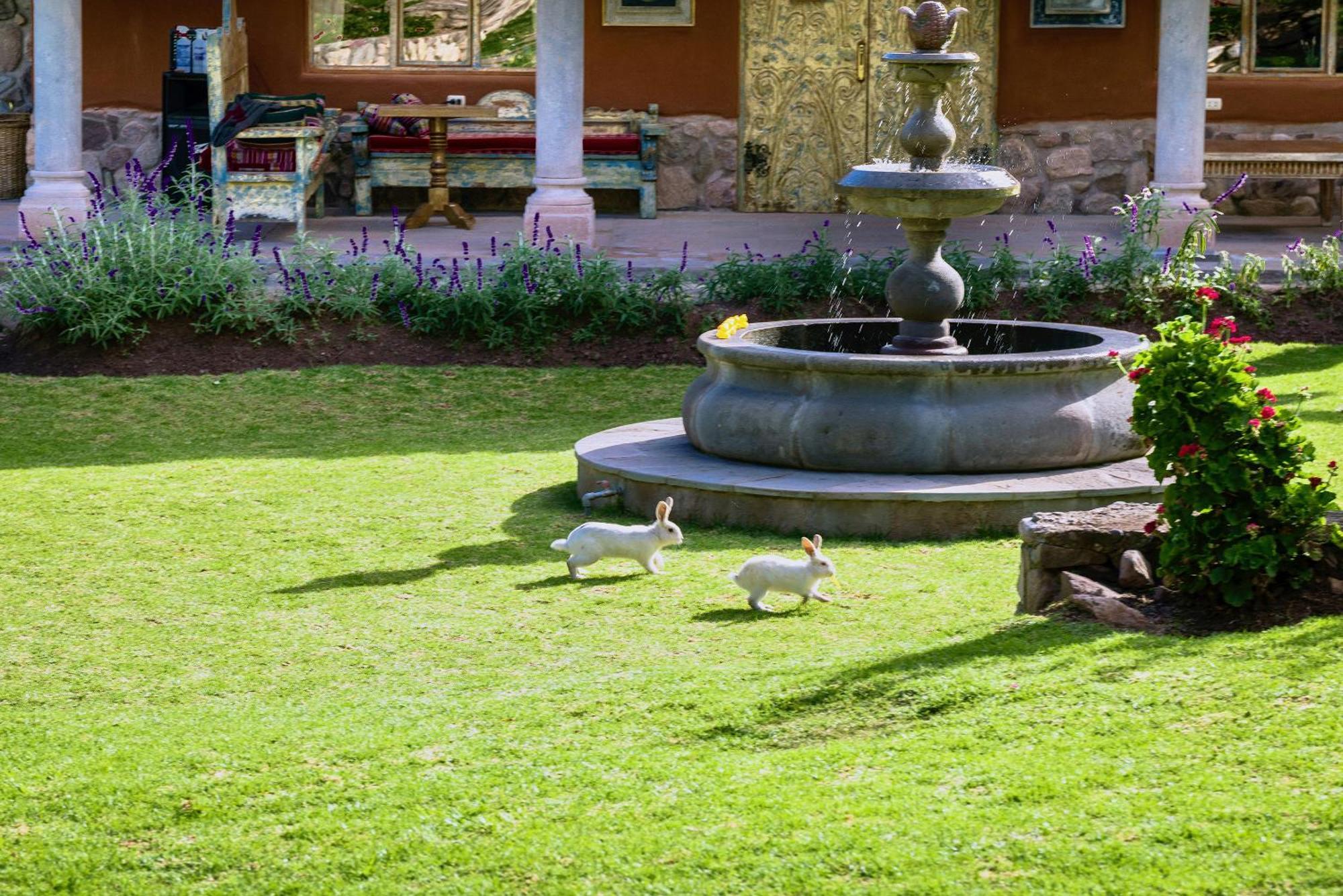 Villa Apu Chicon Urubamba Kültér fotó