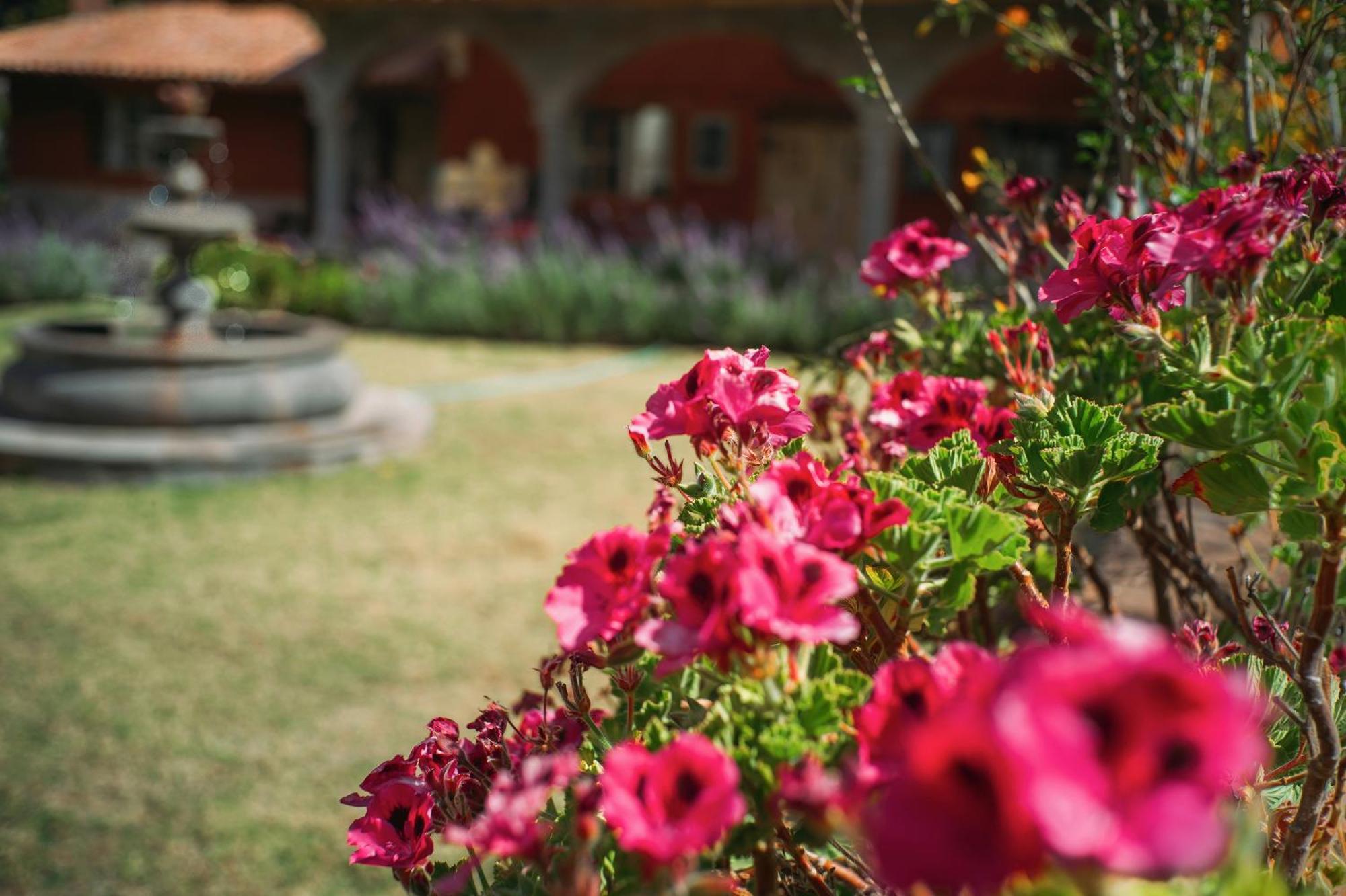 Villa Apu Chicon Urubamba Kültér fotó