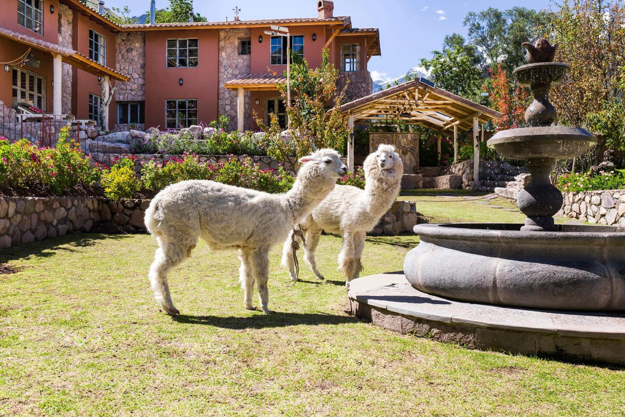 Villa Apu Chicon Urubamba Kültér fotó